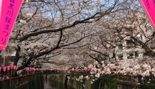 【2021年】目黒川の桜は混雑をさけて楽しめる！テラス席のあるカフェ