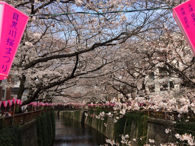 21年 目黒川の桜は混雑をさけて楽しめる テラス席のあるカフェ はみがきログ